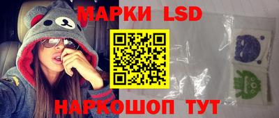 прущие грибы Бердск
