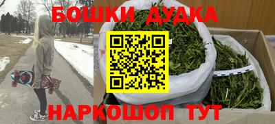 прущие грибы Бердск