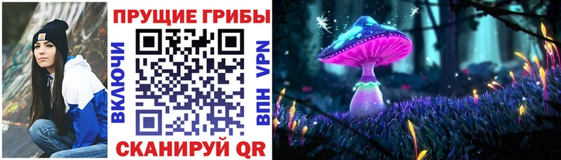 Псилоцибиновые грибы GOLDEN TEACHER как найти закладки Владивосток