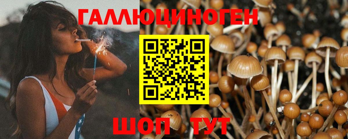 Владивосток  Псилоцибиновые грибы Magic Shrooms  Вход с VPN 